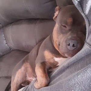 Meet your Posher, Melanie